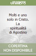 Molti e uno solo in Cristo. La spiritualità di Agostino libro