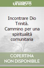 Incontrare Dio Trinità. Cammino per una spiritualità comunitaria libro