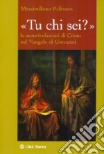 «Tu chi sei?». Le autorivelazioni di Cristo nel Vangelo di Giovanni libro