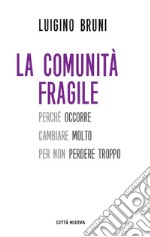 La comunità fragile. Perché occorre cambiare molto per non perdere troppo libro