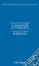 Commento ai vangeli. Sermoni. Vol. 4/1 libro