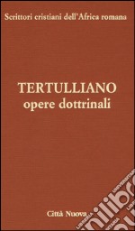 Opere dottrinali. Contro Marcione. Libri IV-V libro