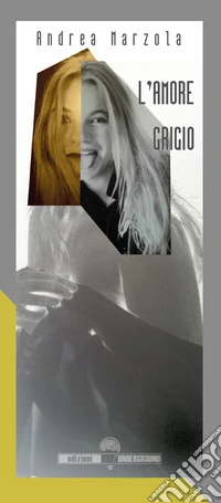 L'amore grigio libro