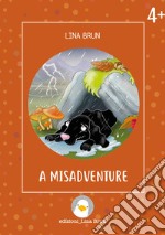 A misadventure. Ediz. illustrata libro