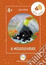 A misadventure. Con File audio per il download libro