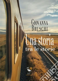 Una storia tra le storie libro