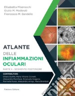 Atlante delle infiammazioni oculari. Vol. 2: Segmento posteriore