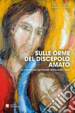 Sulle orme del discepolo amato. Un cammino spirituale attraverso l'arte