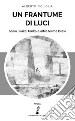 Un frantume di luci. Haiku, waka, tanka e altre forme brevi libro