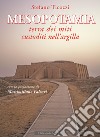 Mesopotamia. Terra dei miti custoditi nell'argilla libro