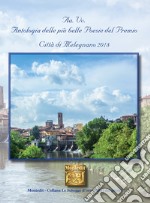 Antologia delle più belle poesie del premio Città di Melegnano 2018 libro