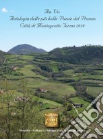 Antologia delle più belle poesie del Premio città di Montegrotto Terme 2019 libro