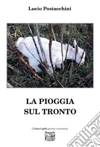La pioggia sul Tronto libro