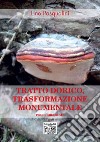 Tratto dorico, trasformazione monumentale libro