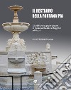 Il restauro della fontana Pia. Gli edifici e lo spazio urbano di Santa Maria Maggiore ad Alatri. Ediz. illustrata libro