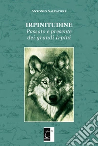 Irpinitudine. Passato e presente dei grandi irpini