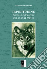 Irpinitudine. Passato e presente dei grandi irpini libro