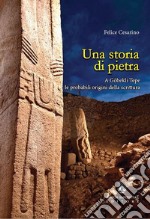 Una storia di pietra. A Göbekli Tepe le probabili origini della scrittura libro