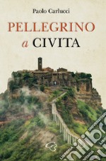 Pellegrino a Civita libro