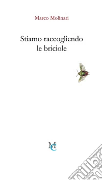 Stiamo raccogliendo le briciole libro