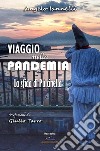 Viaggio nella pandemia. La sfida di Pulcinella libro di Iannelli Angelo