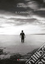 Il cammino libro