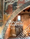 Sbirciare la bellezza. Guida ai tesori nascosti di Bergamo libro di Ferrari Rosella