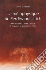 La métaphysique de Ferdinand Ulrich. Introduction à Homo Abyssus, Le risque de la question de l'être