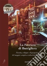 La Ferriera di Buttigliera. Nascita, sviluppo e disgregazione del maggior complesso industriale valsusino libro