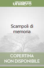 Scampoli di memoria libro