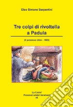 Tre colpi di rivoltella a Padula. (Il processo Urini - 1893) libro