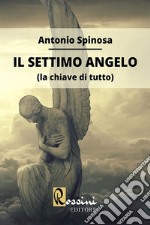 Il settimo angelo (la chiave di tutto) libro