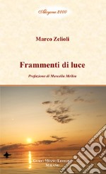 Frammenti di luce libro