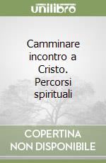 Camminare incontro a Cristo. Percorsi spirituali