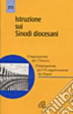 Istruzione sui sinodi diocesani libro