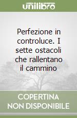 Perfezione in controluce. I sette ostacoli che rallentano il cammino libro