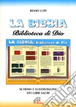 La Bibbia biblioteca di Dio. Schema e suddivisione dei libri sacri libro