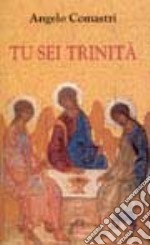 Tu sei Trinità libro