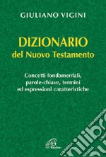 Dizionario del Nuovo Testamento libro