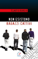 Non esistono ragazzi cattivi. Esperienze educative di un prete al Beccaria di Milano libro