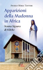 Apparizioni della madonna in Africa. Nostra Signora di Kibeho libro