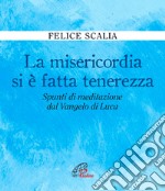 La misericordia si è fatta tenerezza. Spunti di meditazione dal Vangelo di Luca libro