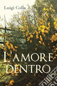L'amore dentro