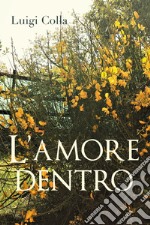 L'amore dentro libro