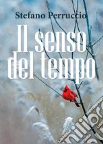 Il senso del tempo libro