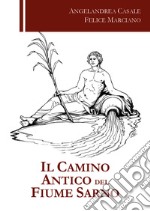 Il camino antico del fiume Sarno libro