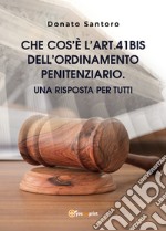 Che cos'è l'art. 41bis dell'Ordinamento Penitenziario. Una risposta per tutti libro