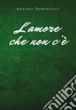 L'amore che non c'è libro