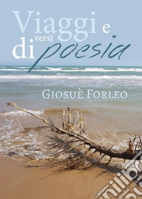 Viaggi e versi di poesia libro