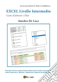 Excel. Livello intermedio
